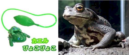 「もし、家に帰ってきたら、玄関先に大きなヒ」の回答画像6