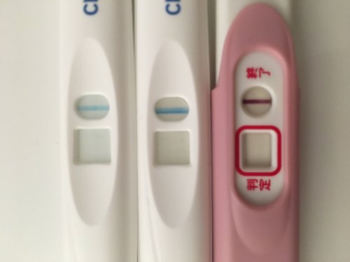「避妊希望です。 先月の生理が11月10日」の質問画像
