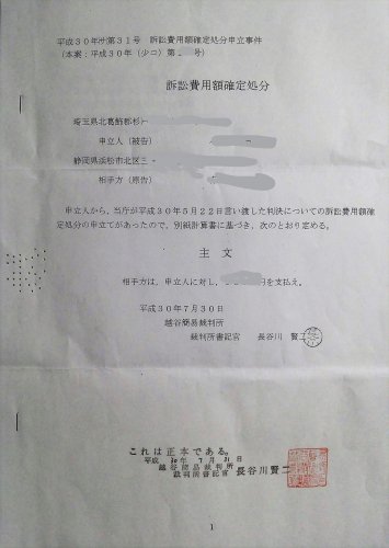 「訴訟費用額決定処分決定後の手続きについて」の質問画像