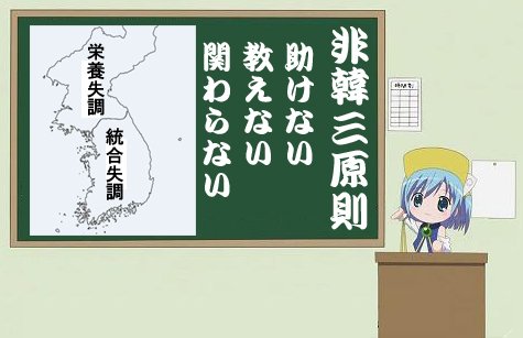 「文在寅はただのチャランポランなヤツか」の回答画像10