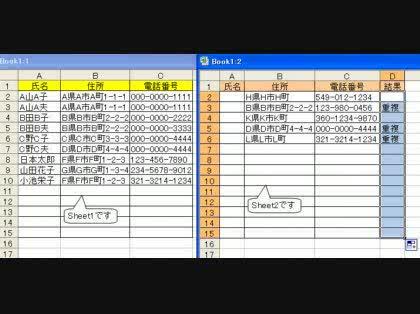 「エクセルで住所か電話番号が重複していたら」の回答画像7