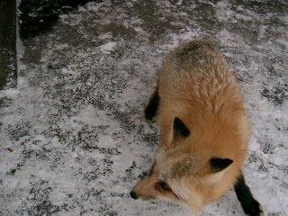 「パーカーのデザインをしたのですが、どうい」の回答画像3