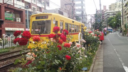 「都電荒川線は最高!」の回答画像2