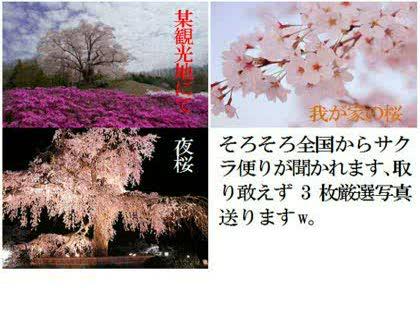 「本文中映像の横に文章を」の回答画像1