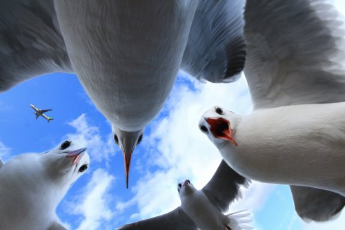 「とっておきの写真♪ 最近の、、 旅先、日」の回答画像3