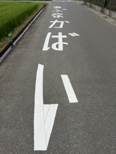 「47都道府県の覚え方を教えて下さい」の回答画像5