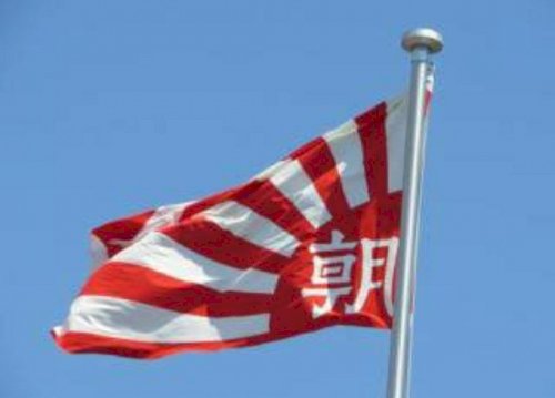 「旭日旗が自衛隊の旗として定められた時、韓」の回答画像6