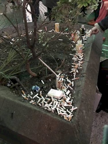 「嫌煙is Over 嫌煙者は卑劣な差別的」の回答画像10