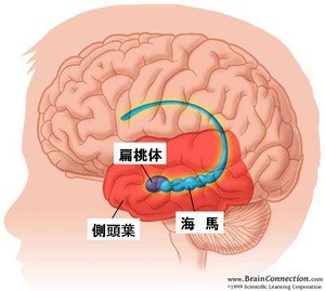 「大学受験グループディスカッションの対策で」の回答画像6
