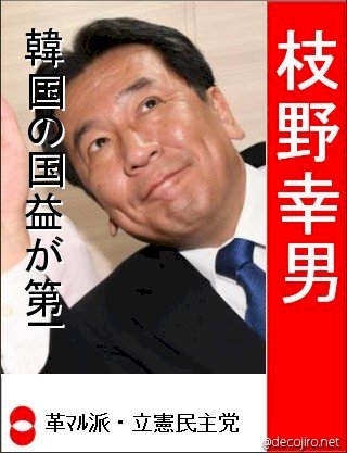 「立憲民主の党首選について」の回答画像8