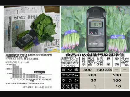 「射線量計測器 ガイガーカウンター 」の回答画像6