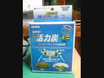 「新しい水槽の立ち上げ方。」の回答画像2