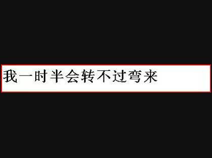 「我一時半会 なんと訳せば?」の回答画像2