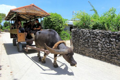「沖縄1人旅な件 沖縄に1人旅に行くんです」の回答画像3