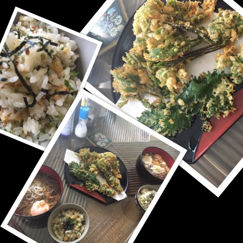 「深夜特急 3 百万編 の 風謳い」の回答画像2478