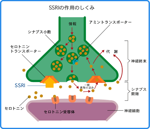 「うつ病と飲酒について」の回答画像11