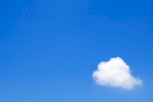 「カメラを趣味にしたいのですが、何を撮った」の回答画像13