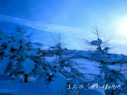 「写真の加工」の回答画像4