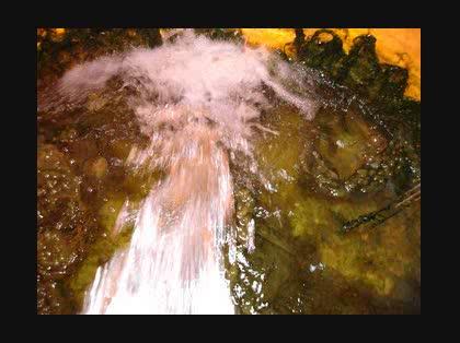 「水道水について」の回答画像3