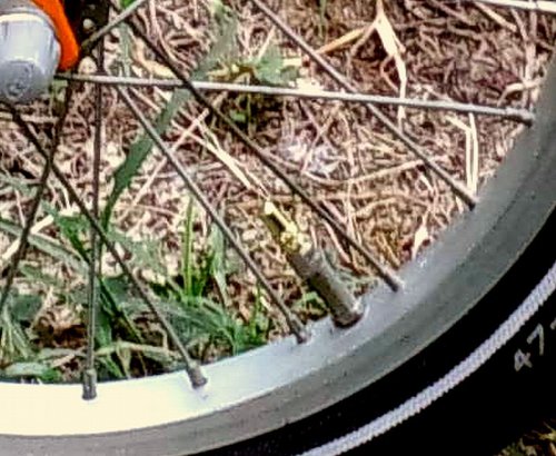 「自転車のタイヤについているゴムキャップが」の回答画像14
