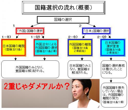 「二重国籍だと選挙に出馬出来ないのですか?」の回答画像8
