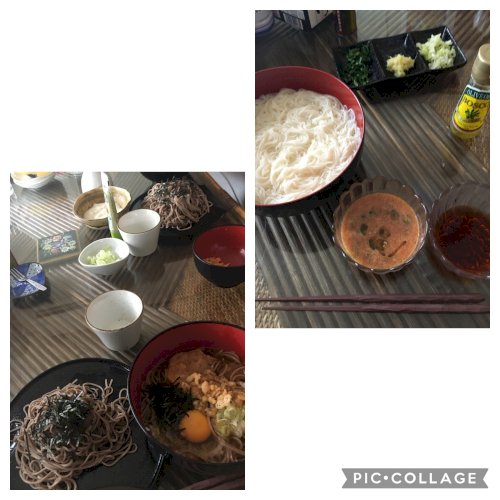 「皆さんはもう、ざるそば、そうめん、冷やし」の回答画像9
