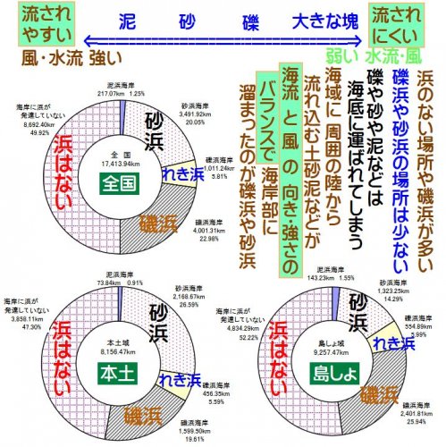 「砂浜と小石の海岸の違い」の回答画像4