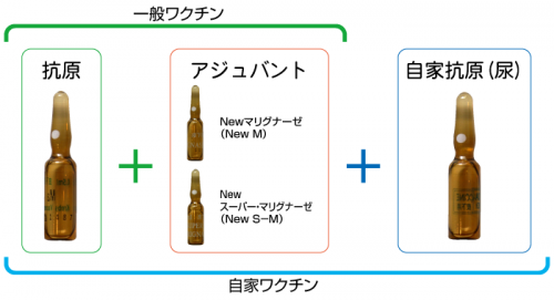 「免疫力アップする薬やサプリや飲み物を教え」の回答画像10