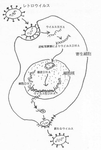 「新型コロナのワクチンは20年前倒しで開発」の回答画像7