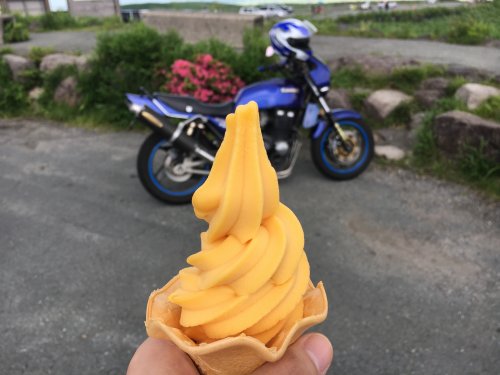 「中型バイクについて」の回答画像2