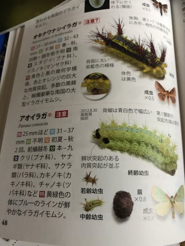 「今日あった日を、話聞かせて下さい部屋です」の回答画像382