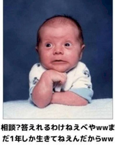 「じゃんねんだぁブゥ」の回答画像96
