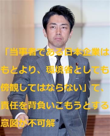 「モーリシャスの件で日本が悪い、日本に責任」の回答画像6