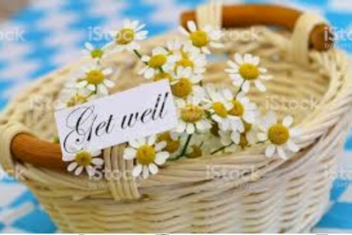 「タイトルに花名が付く曲(´V`)♪」の回答画像43