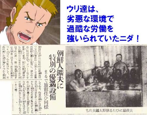 「韓国と日本の政府」の回答画像11