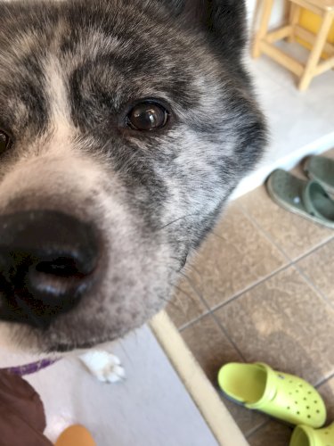 「【のんびーハウス】について教えて下さいm」の質問画像