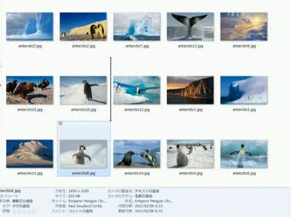 「デジカメの画像の入れ替えができない」の回答画像3