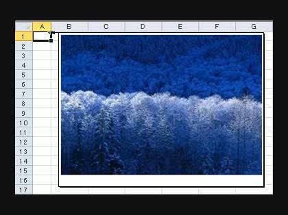 「excelでオブジェクト(写真)を固定す」の回答画像2
