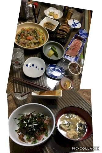 「写真館3!」の回答画像204