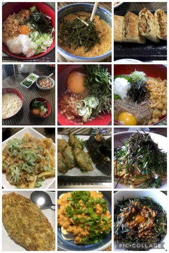 「納豆にかけて食べたら美味しい意外な物教え」の回答画像9