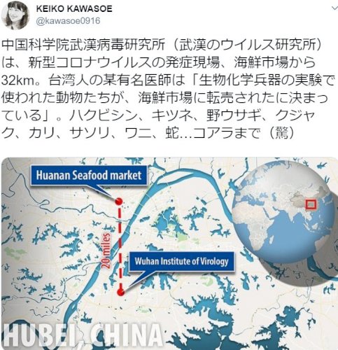 「コロナを広めた目的」の回答画像8