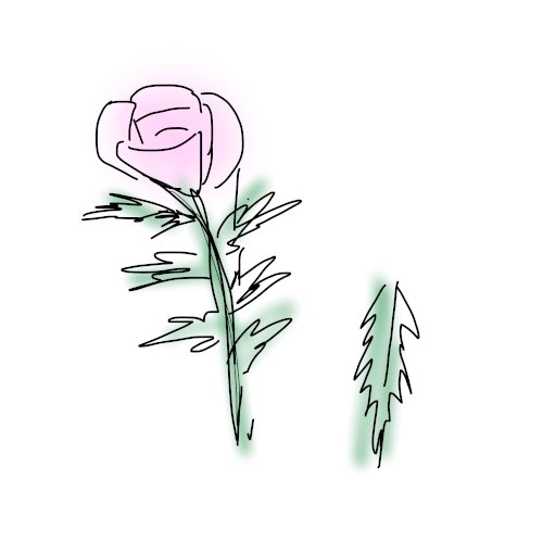 「絵が大雑把すぎてすいません! ある植物と」の質問画像