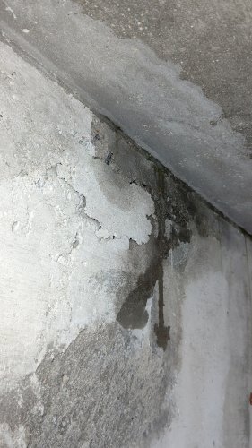 「こんばんは。 今、賃貸の一軒家に住んでい」の質問画像