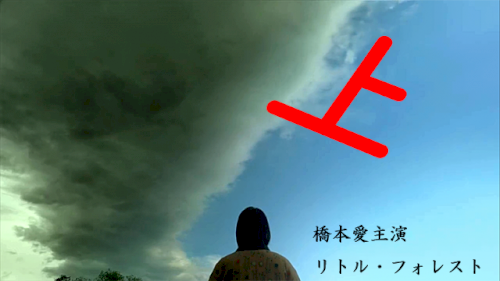 「上には上がいるということわざがありますが」の回答画像8