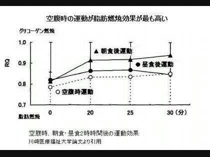 「脂肪燃焼について、」の回答画像5