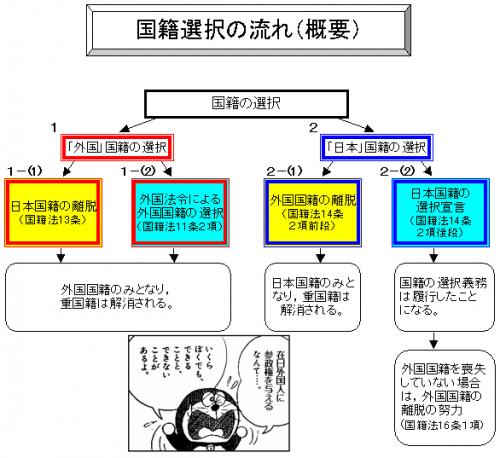 「ハーフの方の選挙権について」の回答画像4