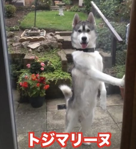 「あなたに、一番合っている 気分転換て何で」の回答画像167