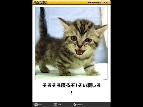 「何を歌いますか? セーラーマーキュリー 」の回答画像47