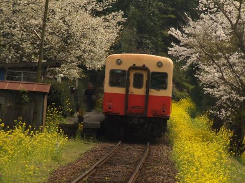 「松本伊代と早見優が、線路内に侵入して写真」の回答画像12