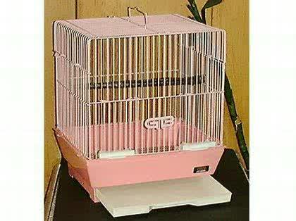 「インコの飼い方」の回答画像2